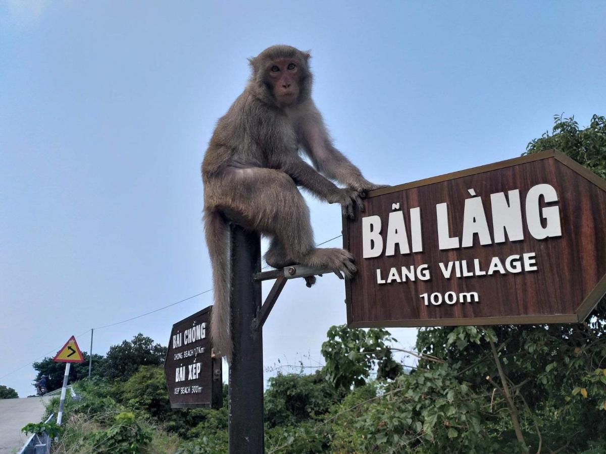Monkeyland Cham Island Homestay Tan Hiep  Exterior photo